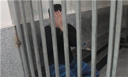 جاعلان کلاهبردار در ساری روانه زندان شدند