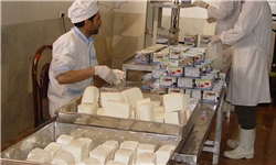 استفاده از پنیر محلی غیر بهداشتی عمده‌ترین راه انتقال تب مالت است