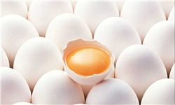 تولید 30 درصد تخم‌مرغ مازندران در آمل
