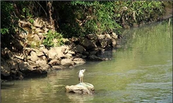 جلوگیری از ورود آب‌های سطحی و فاضلاب به رودخانه‌های آبادان