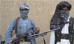 طالبان شاخه ویژه «مبارزه با پهپادهای آمریکایی» تشکیل داد