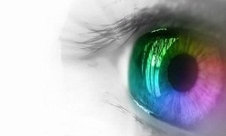 امکان درمان آسیب‌های سطحی چشمی با سلول‌های بنیادی در مشهد