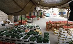 ورود محموله‌های مواد غذایی به حلب و توزیع آن بین اهالی این شهر