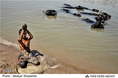 نوجوان شناگر در ساحل رودخانه کارون