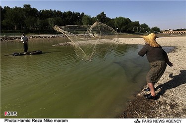 ماهیگیری در قسمت کم آب زاینده رود
