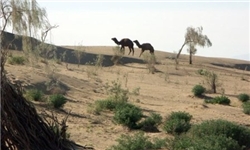 خسارت 150 میلیارد تومانی خشکسالی به کشاورزی / 81 چشمه خشکید