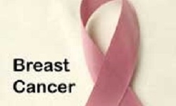 آمادگی جهاد دانشگاهی برای راه‌اندازی مرکز تحقیقاتی سرطان سینه در اهر