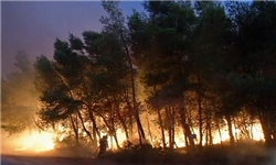 آتش‌سوزی منطقه کلاغ‌نشین گچساران مهار شد