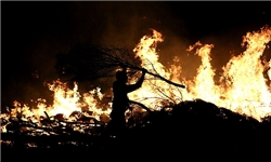 آسیب‏‌دیدگی 80 درصد درختان پارک کردوانی گرمسار بر اثر آتش‏‌سوزی