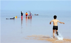 سواحل دریاچه ارومیه