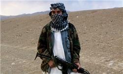 حملات طالبان به نیروهای دولتی ۲ برابر افزایش یافته است