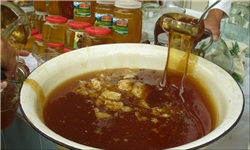 لرستان یکی از استان‌های تولید کننده عسل کشور است