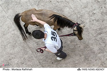 جشنواره زیبایی اسب کاسپین در بندر انزلی