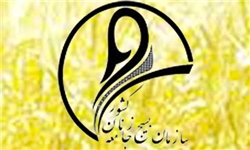 برگزاری یادواره حضرت رقیه(س) و نمایشگاه عفاف در کرمانشاه