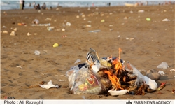 تامین اعتبارات، راه حل جلوگیری از آلودگی دریای بوشهر