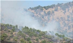 درخواست هلی‌کوپتر برای کنترل آتش در ارسباران/ کنترل آتش در مراتع ارسباران