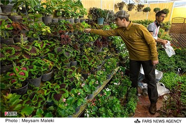 نمایشگاه گل و گیاه در قزوین
