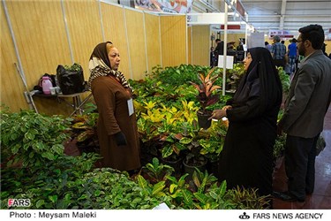 نمایشگاه گل و گیاه در قزوین