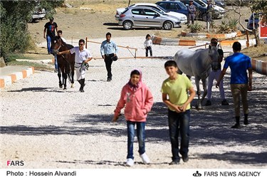 مسابقات پرش با اسب در همدان