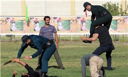 14 برنامه ورزشی متنوع در استان مرکزی برگزار می‌شود