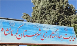 کاشت 4200 هکتار کلزا در کرمانشاه