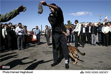 سگ مواد یاب در مراسم امحا بیش از1821 کیلو گرم مواد مخدر در تبریز