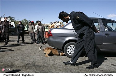 سگ مواد یاب در مراسم امحا بیش از1821 کیلو گرم مواد مخدر در تبریز