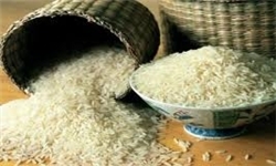 2200 تن برنج سفید در دره‌شهر تولید می‌شود