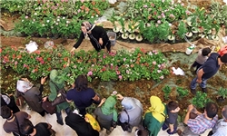 صدور گواهی بهداشتی برای 5600 اصله گیاه زینتی صادراتی مازندران