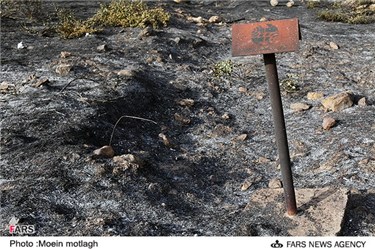 آتش سوزی در پارک ملی گلستان بر اثر بی احتیاطی مسافرین 