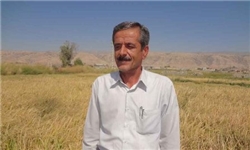 توزیع 831 هزار لیتر سوخت کشاورزی میان کشاورزان باشتی