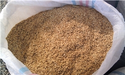 کشف محموله 11 تنی برنج قاچاق در شهرستان مهرستان