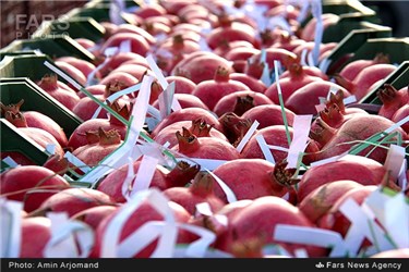 انار بسته بندی شده در باغات نی ریز استان فارس