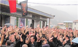 حیدری:50 برنامه فرهنگی مذهبی در امامزادگان مازندران اجرا شد
