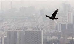 دود رقابت‌های «یورو 4» در ریه مردم/ مشهد در حسرت سوخت و هوای پاک