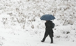 بارش برف در کجور/ راه‌های روستایی مسدود است