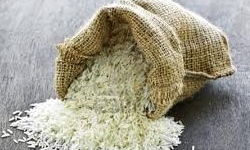 کشت محصول برنج دو نوبت در یک سال زراعی در قصرقند