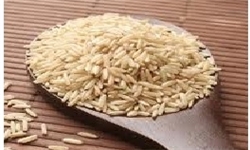 استانداران شمالی برای تغییر نرخ خرید تضمینی برنج تلاش کنند