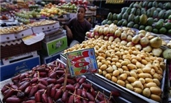 30 دستگاه کانکس توزیع میوه شب عید در زنجان فعال می‌شود