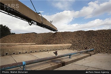 کارخانه قند و شکر تربت حیدریه