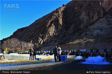 مرکز پرورش ماهی روستای رودافشان شهرستان دماوند