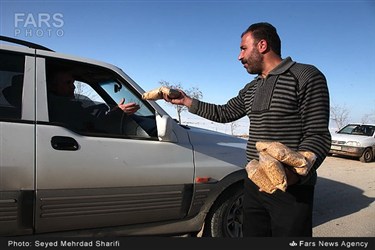 توزیع غذای پرندگان در تالاب میقان استان مرکزی