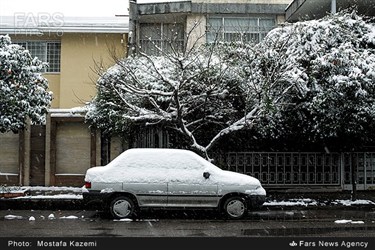 بارش برف در ساری