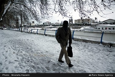 بارش برف در ساری