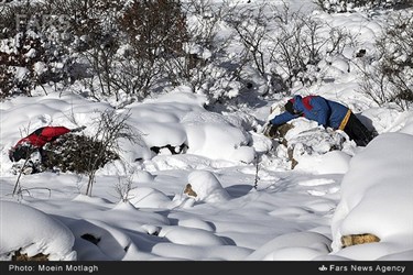اجساد فرضی در مانور امداد و نجات نیروهای هلال احمر در ارتفاعات استان گلستان 