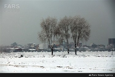 بارش برف در محمود آباد