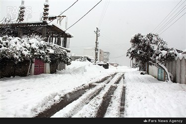 بارش برف در محمود آباد