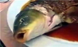 امسال سرانه مصرف ماهی آذربایجان غربی به 6 کیلوگرم رسیده است