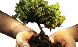 کاشت درخت به یاد شهدا در بجستان