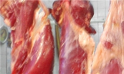 توزیع گوشت قرمز و مرغ ارزان‌تر از بازار در نمایشگاه بهاره فیروزکوه